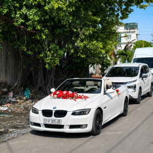 Xe hoa mui trần BMW - Thegioixehoa.com